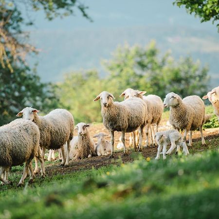 Eco Tourist Farm Ravnjak Slovenj Gradec Luaran gambar